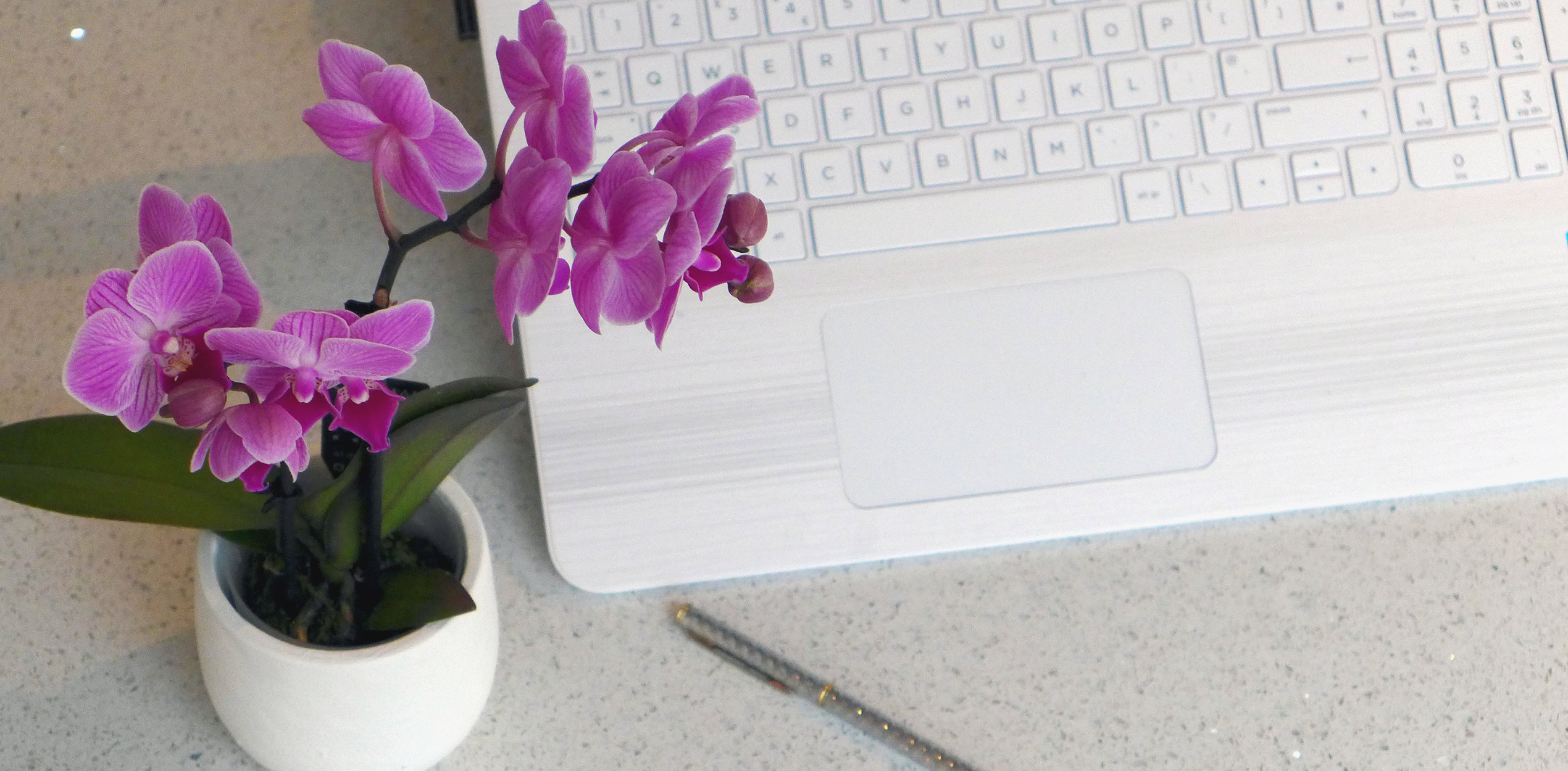 Seven Top Tips For Working From Home
